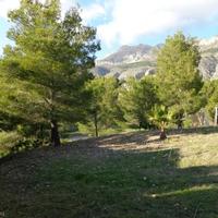 Земельный участок в Испании, Валенсия, Аликанте