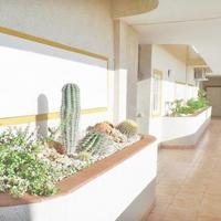 Flat in Spain, Comunitat Valenciana, Alicante, 68 sq.m.