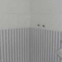 Flat in Spain, Comunitat Valenciana, Alicante, 112 sq.m.