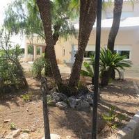 Вилла в Испании, Валенсия, Аликанте, 279 кв.м.