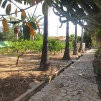 Вилла в Испании, Валенсия, Аликанте, 279 кв.м.