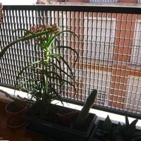 Квартира в Испании, Валенсия, Аликанте, 103 кв.м.