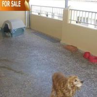 Flat in Spain, Comunitat Valenciana, Alicante, 160 sq.m.