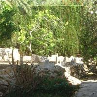 Вилла в Испании, Валенсия, Аликанте, 185 кв.м.