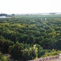 Вилла в Испании, Валенсия, Аликанте, 137 кв.м.