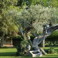 House in Spain, Catalunya, Begur, 600 sq.m.