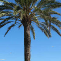 Квартира в центре города в Испании, Каталония, 67 кв.м.