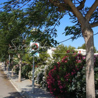 Апартаменты в Испании, Каталония, Багур