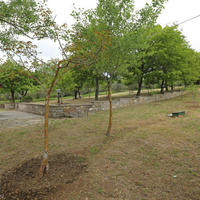 Villa in the suburbs in Italy, Pienza, 135 sq.m.