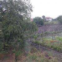 Вилла в Болгарии, Бургасская область, Елените, 200 кв.м.