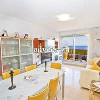 Apartment in Guyane, 46 sq.m.