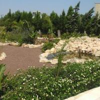 House in Republic of Cyprus, Steni, 990 sq.m.