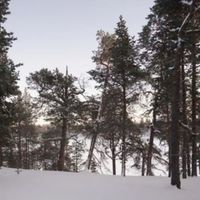 House in Finland, Inari, 92 sq.m.