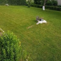 House in Finland, Imatra, 81 sq.m.