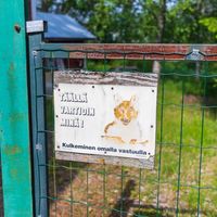 House in Finland, 25 sq.m.