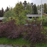 House in Finland, Mikkeli, 126 sq.m.