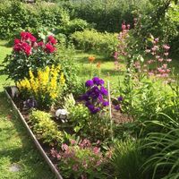 Other in Finland, Tampere, 22 sq.m.