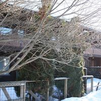 Таунхаус в Финляндии, Иматра, 75 кв.м.