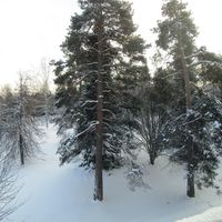 Flat in Finland, 51 sq.m.