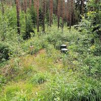 Другое в Финляндии, Руоколахти, 25 кв.м.