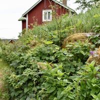 House in Finland, Vaasa, 100 sq.m.