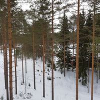 Flat in Finland, Suonenjoki, 61 sq.m.