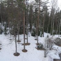 Flat in Finland, Kajaani, 92 sq.m.