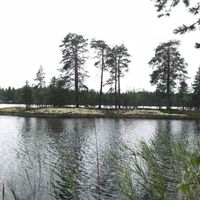 Земельный участок в Финляндии, Руоколахти
