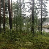 Land plot in Finland, Ruokolahti