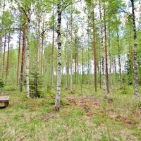 Other in Finland, 17 sq.m.