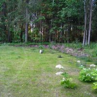 Other in Finland, 40 sq.m.