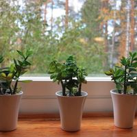 Flat in Finland, Imatra, 118 sq.m.