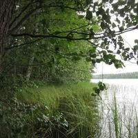 Land plot in Finland