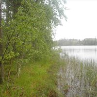 Земельный участок в Финляндии, Сулкава