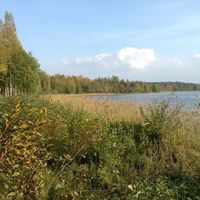 Земельный участок в Финляндии, Симпеле
