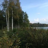 Land plot in Finland, Simpele