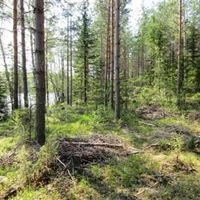 Land plot in Finland, Savonranta