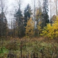 Other in Finland, Imatra, 60 sq.m.