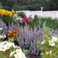 Другое в Финляндии, Юва, 134 кв.м.