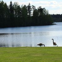 Другое в Финляндии, Юва, 134 кв.м.