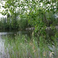 Другое в Финляндии, Миккели, 35 кв.м.