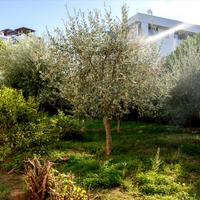 Flat in Greece, Attica, Attiki, 33 sq.m.