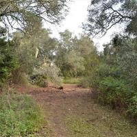 Other in Greece, Ionian Islands, 420 sq.m.