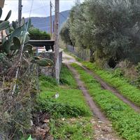 Land plot in Greece, Ionian Islands, 65 sq.m.