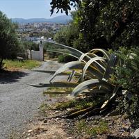 Villa in Greece, Crete, 816 sq.m.