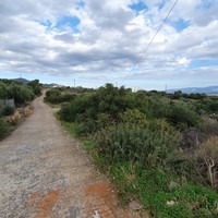 Land plot in Greece, Crete