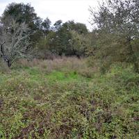 Land plot in Greece, Ionian Islands