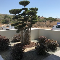 Вилла на Кипре, Лима, 766 кв.м.