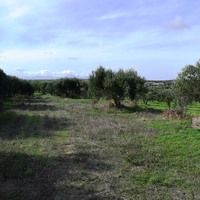 Земельный участок в Греции, Крит, Ираклион