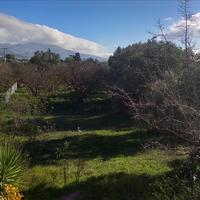 Земельный участок в Греции, Аттика